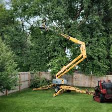 Reliable Galena, IN Tree Services Solutions